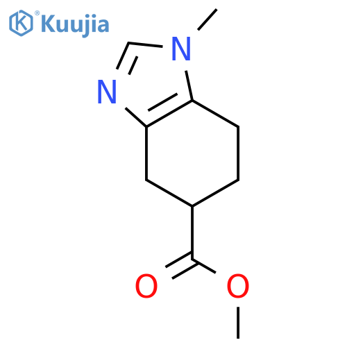 4,5,6,7-tetrahydro-1-methyl-1H-Benzimidazole-5-carboxylic acid methyl ester structure
