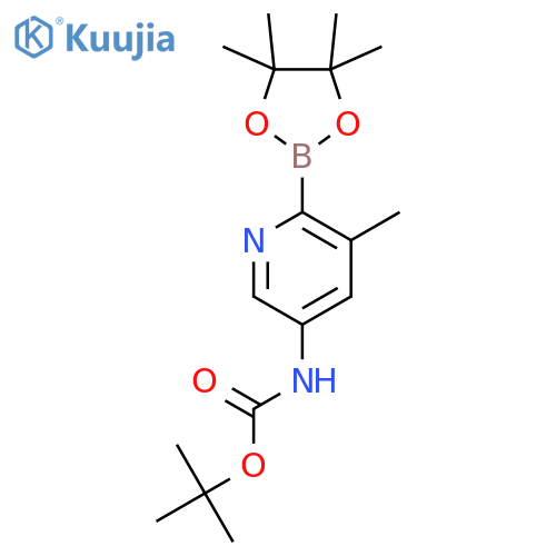 tert-Butyl (5-methyl-6-(4,4,5,5-tetramethyl-1,3,2-dioxaborolan-2-yl)pyridin-3-yl)carbamate structure