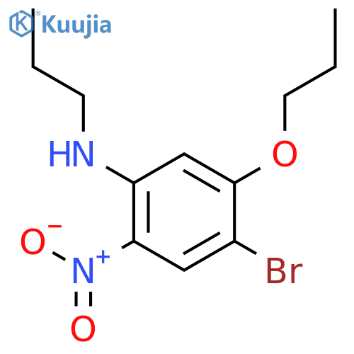 4-Bromo-2-nitro-5-propoxy-N-propylaniline structure