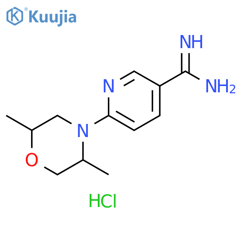 6-(2,5-dimethylmorpholin-4-yl)pyridine-3-carboxamidine;dihydrochloride structure