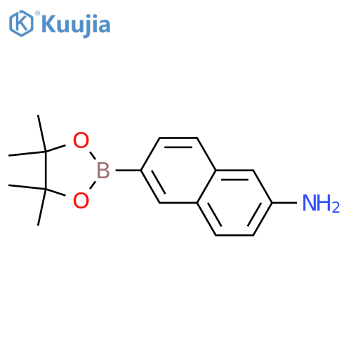 6-(4,4,5,5-tetramethyl-1,3,2-dioxaborolan-2-yl)naphthalen-2-amine structure