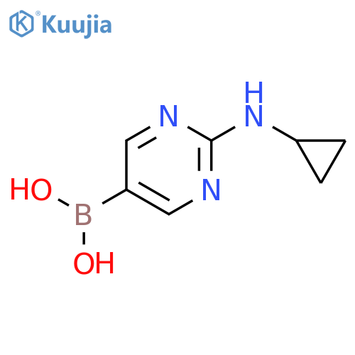 2-(Cyclopropylamino)pyrimidine-5-boronic acid structure