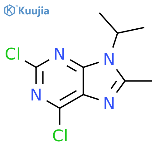 2,6-dichloro-8-methyl-9-(propan-2-yl)-9H-purine structure