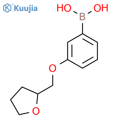 3-(Oxolan-2-ylmethoxy)phenylboronic acid structure