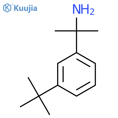 2-(3-tert-butylphenyl)propan-2-amine structure