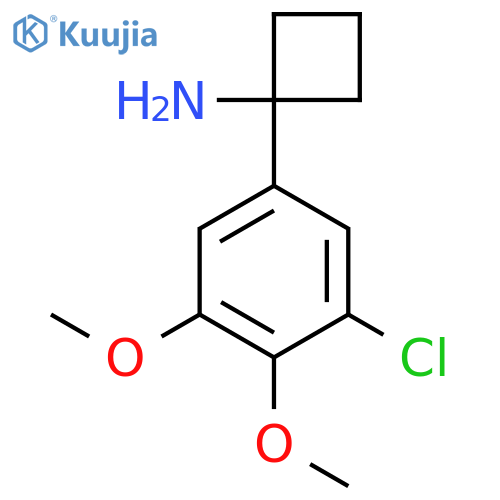 1-(3-chloro-4,5-dimethoxyphenyl)cyclobutan-1-amine structure