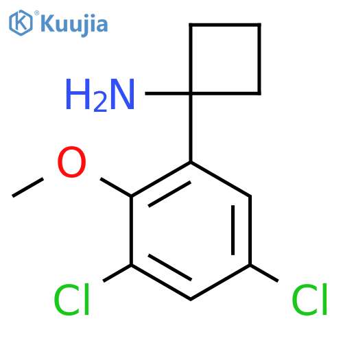 1-(3,5-dichloro-2-methoxyphenyl)cyclobutan-1-amine structure