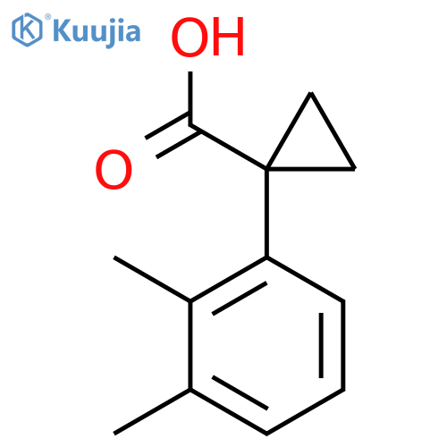 1-(2,3-dimethylphenyl)cyclopropane-1-carboxylic acid structure