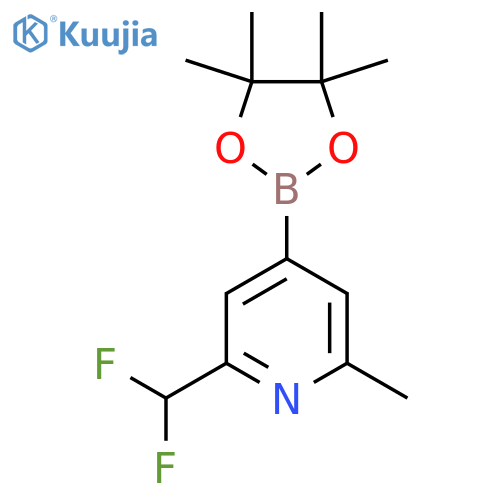 2-(difluoromethyl)-6-methyl-4-(4,4,5,5-tetramethyl-1,3,2-dioxaborolan-2-yl)pyridine structure