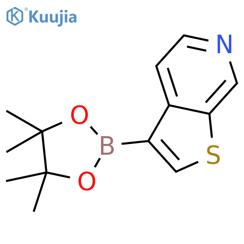 3-(4,4,5,5-tetramethyl-1,3,2-dioxaborolan-2-yl)thieno2,3-cpyridine structure