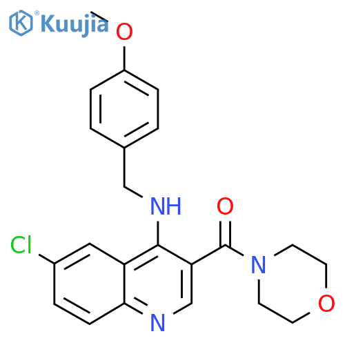6-chloro-N-[(4-methoxyphenyl)methyl]-3-(morpholine-4-carbonyl)quinolin-4-amine structure