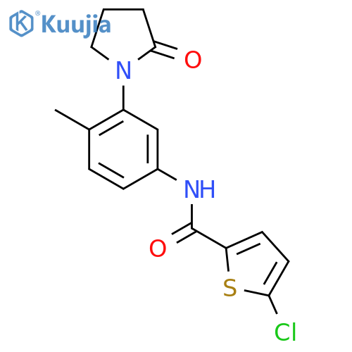 5-chloro-N-4-methyl-3-(2-oxopyrrolidin-1-yl)phenylthiophene-2-carboxamide structure
