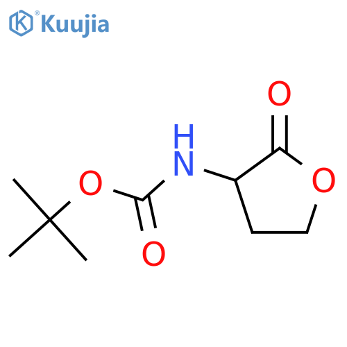 tert-butyl (tetrahydro-2-oxo-3-furanyl)carbamate structure