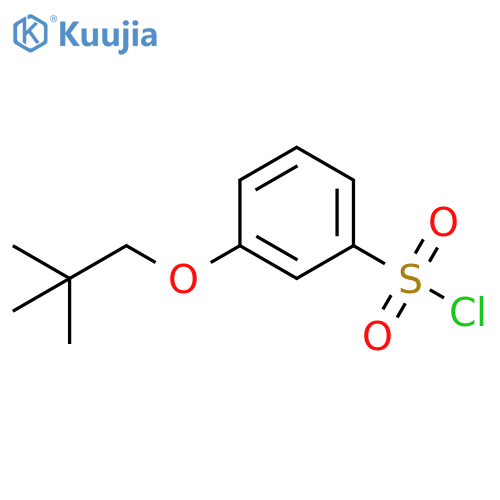 3-(2,2-Dimethyl-propoxy)-benzenesulfonyl chloride structure