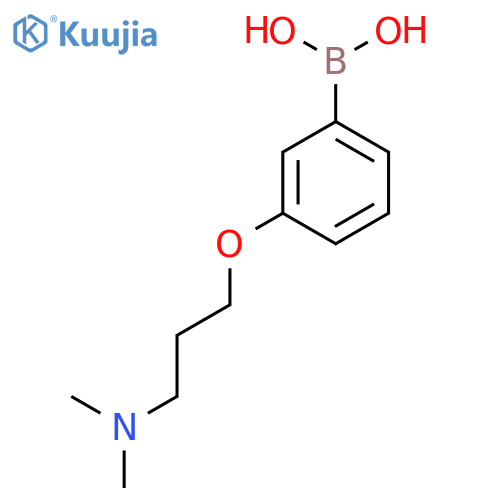 (3-(3-(Dimethylamino)propoxy)phenyl)boronic acid structure