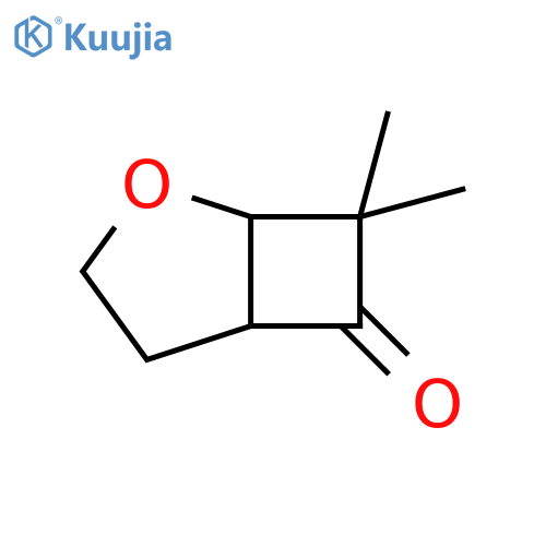 7,7-dimethyl-2-oxabicyclo[3.2.0]heptan-6-one structure