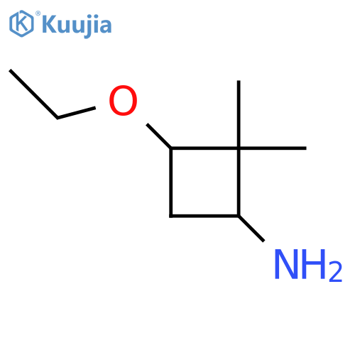 3-Ethoxy-2,2-dimethylcyclobutan-1-amine structure