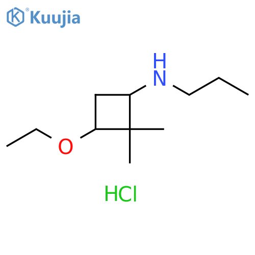 3-ethoxy-2,2-dimethyl-N-propylcyclobutan-1-amine hydrochloride structure