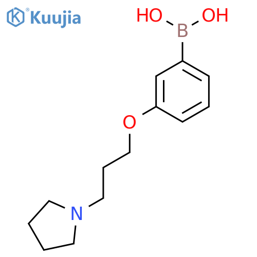 (3-(3-(Pyrrolidin-1-yl)propoxy)phenyl)boronic acid structure