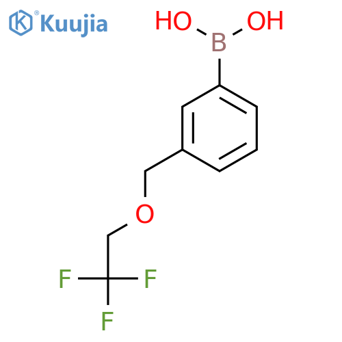 (3-((2,2,2-Trifluoroethoxy)methyl)phenyl)boronic acid structure