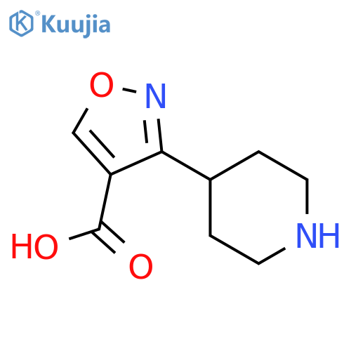 3-Piperidin-4-yl-isoxazole-4-carboxylic acid structure