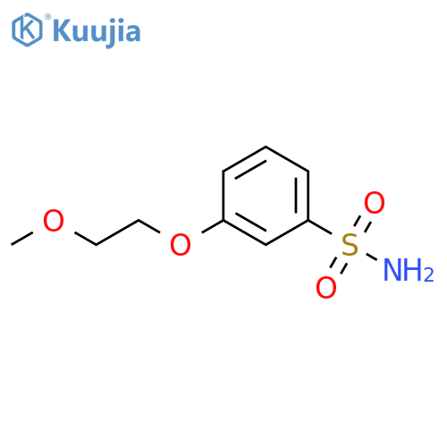 3-(2-methoxyethoxy)benzene-1-sulfonamide structure