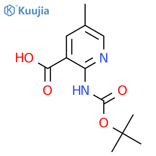 2-{(tert-butoxy)carbonylamino}-5-methylpyridine-3-carboxylic acid structure