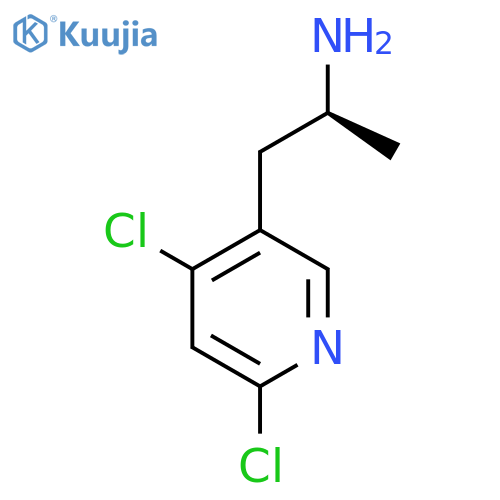 (2S)-1-(4,6-dichloropyridin-3-yl)propan-2-amine structure