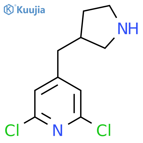 2,6-dichloro-4-(pyrrolidin-3-yl)methylpyridine structure