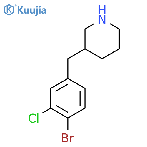 3-(4-bromo-3-chlorophenyl)methylpiperidine structure