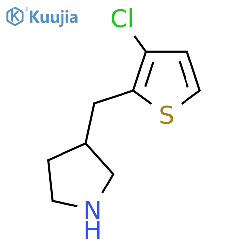 3-(3-chlorothiophen-2-yl)methylpyrrolidine structure