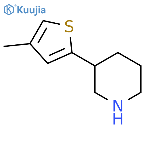 3-(4-methylthiophen-2-yl)piperidine structure