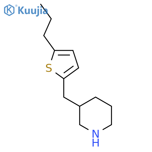 3-(5-propylthiophen-2-yl)methylpiperidine structure