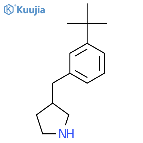 3-(3-tert-butylphenyl)methylpyrrolidine structure