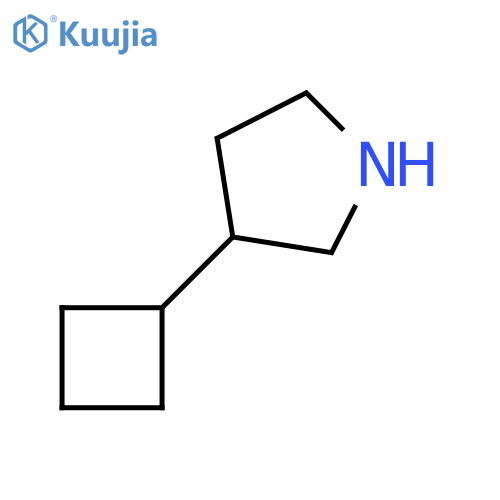 3-cyclobutylpyrrolidine structure