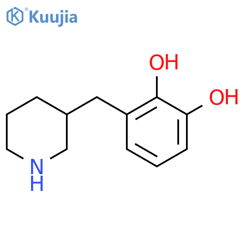 3-(piperidin-3-yl)methylbenzene-1,2-diol structure