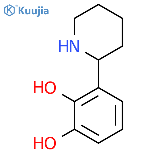 3-(piperidin-2-yl)benzene-1,2-diol structure