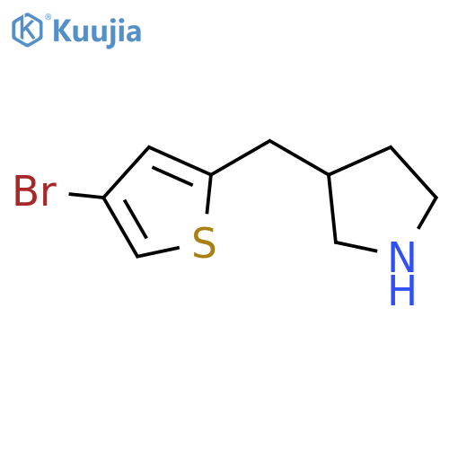 3-(4-bromothiophen-2-yl)methylpyrrolidine structure