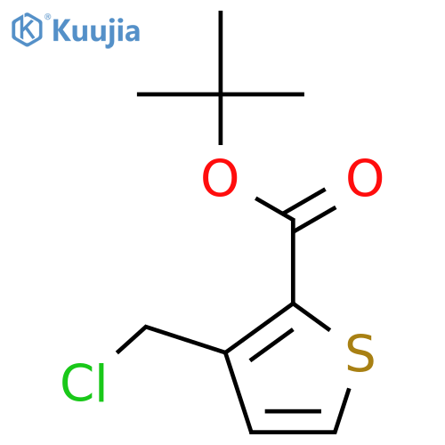 tert-Butyl 3-(chloromethyl)thiophene-2-carboxylate structure