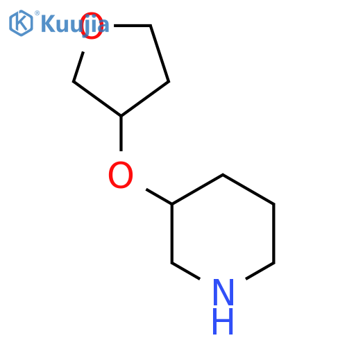 3-(oxolan-3-yloxy)piperidine structure
