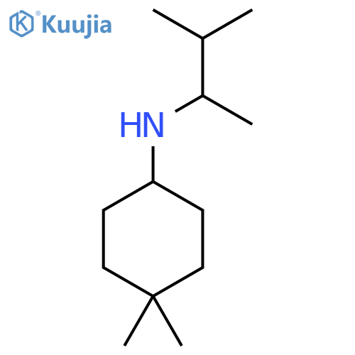 4,4-dimethyl-N-(3-methylbutan-2-yl)cyclohexan-1-amine structure