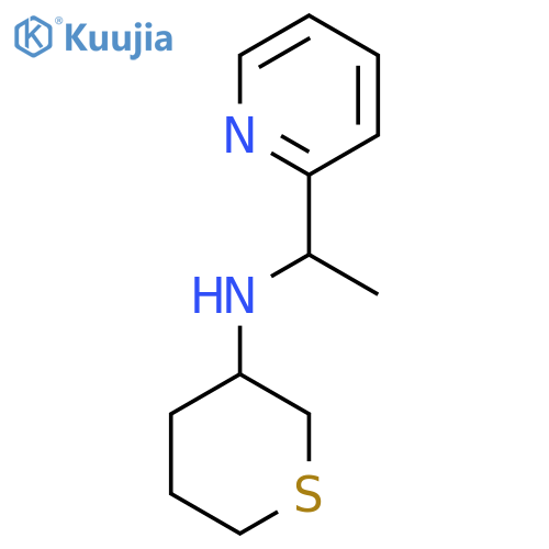 N-[1-(pyridin-2-yl)ethyl]thian-3-amine structure