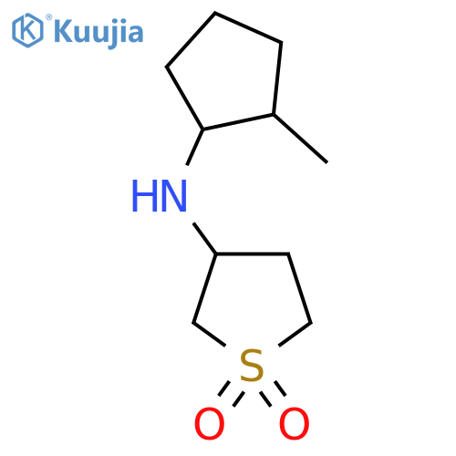 3-[(2-methylcyclopentyl)amino]-1λ?-thiolane-1,1-dione structure
