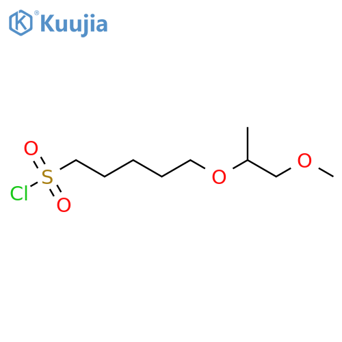 5-(1-methoxypropan-2-yl)oxypentane-1-sulfonyl chloride structure