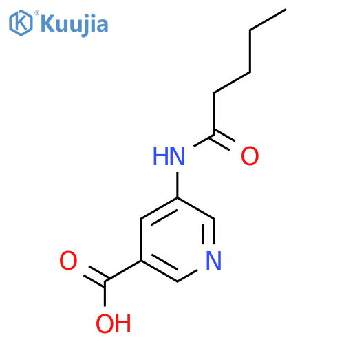 5-pentanamidopyridine-3-carboxylic acid structure
