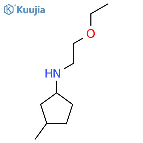 N-(2-ethoxyethyl)-3-methylcyclopentan-1-amine structure