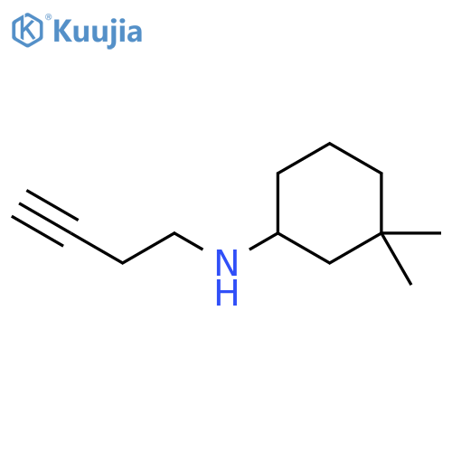 N-(but-3-yn-1-yl)-3,3-dimethylcyclohexan-1-amine structure