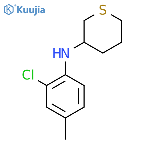 N-(2-chloro-4-methylphenyl)thian-3-amine structure