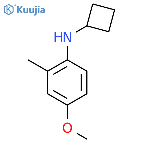 N-cyclobutyl-4-methoxy-2-methylaniline structure