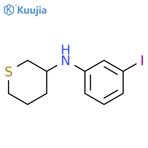 N-(3-iodophenyl)thian-3-amine structure